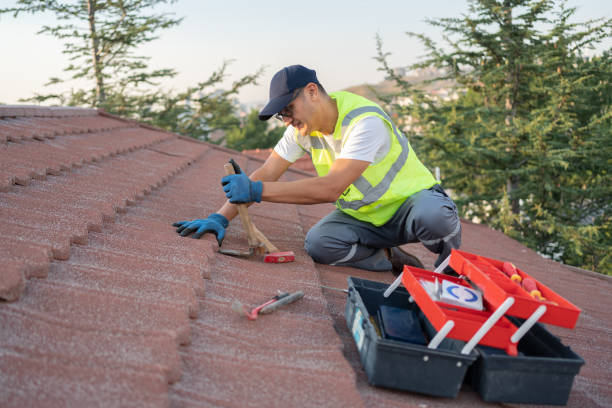 Best Roof Gutter Cleaning  in Iowa Colony, TX